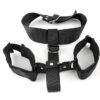 - BDSM CL 01036 1
