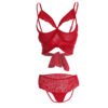 06690-Women's Bust Open Erotic Lingerie 20 - ELS 06690 RD 3