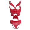 06690-Women's Bust Open Erotic Lingerie 21 - ELS 06690 RD 4