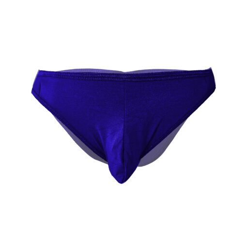 Men's Erotic Thong Underwear - Image 13