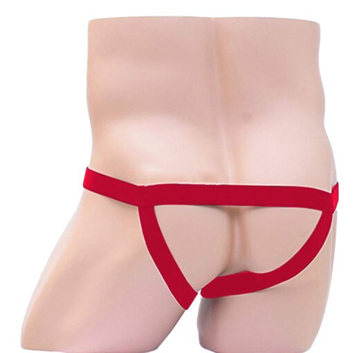 Men's Erotic Harness Underwear - Image 10