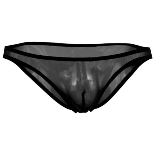 Sheer Men's Lingerie - Image 14