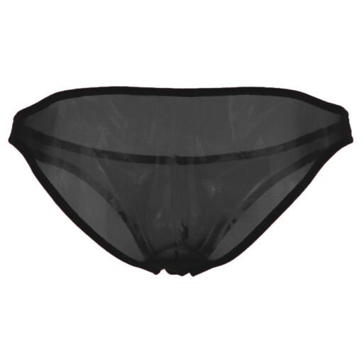 Sheer Men's Lingerie - Image 16