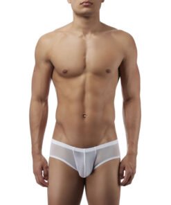 07289- Men's Brief Underwear