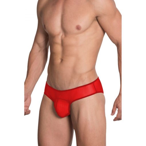 07466- Men's Brief Underwear - Image 4