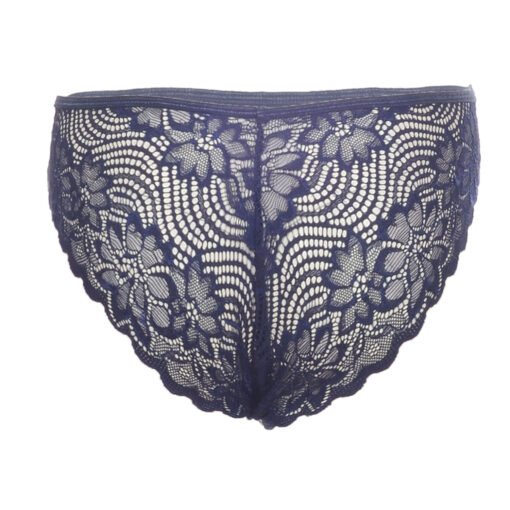 05048-Women's Brief Panty - Image 19