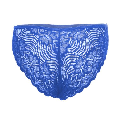 05048-Women's Brief Panty - Image 15