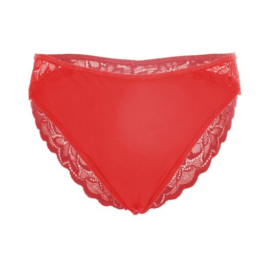 05048-Women's Brief Panty - Image 16