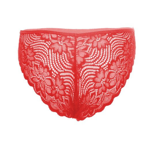 05048-Women's Brief Panty - Image 17