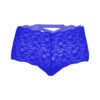 05074-Women's Hipster Panty 88 - PN 05074 RBL 3