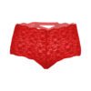 05074-Women's Hipster Panty 92 - PN 05074 RD 3