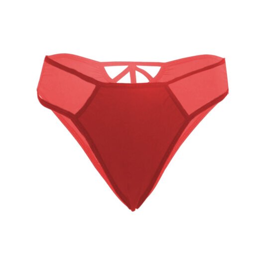 05170- Women's Bikini Panty - Image 15