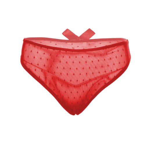 05244-Women's Brief Panty - Image 11