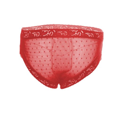 05251-Women's Brief Panty - Image 12