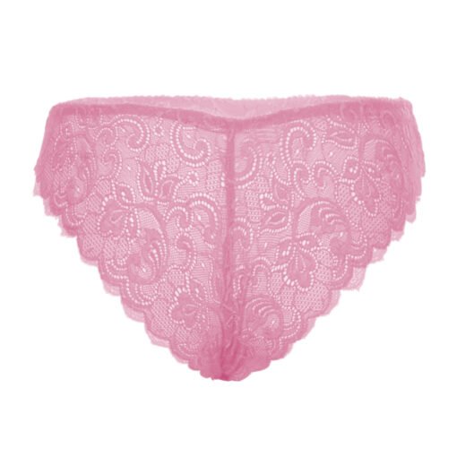 05355-Women's Brief Panty - Image 3