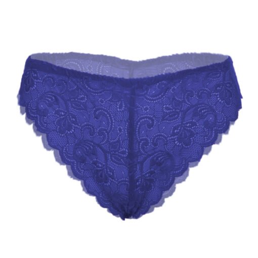 05355-Women's Brief Panty - Image 4