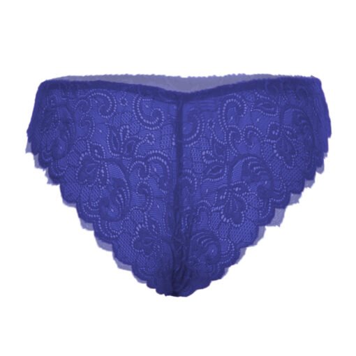 05355-Women's Brief Panty - Image 5