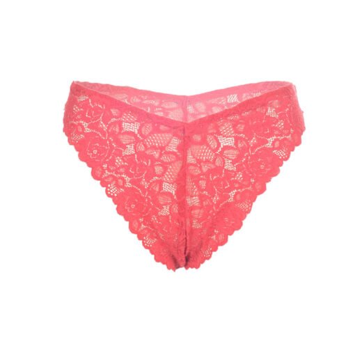 05378-Women's Brief Panty - Image 20