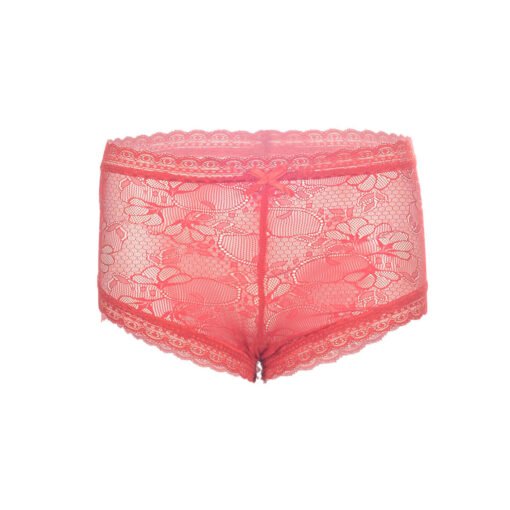 05419-Women's Boxer Panty - Image 11