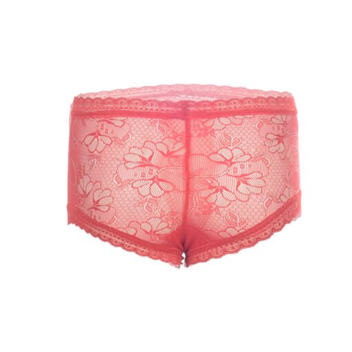 05419-Women's Boxer Panty - Image 12