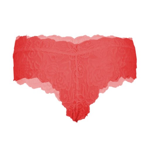 05915- Women's Hipster Panty - Image 16