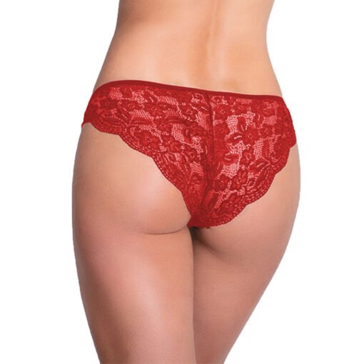 05048-Women's Brief Panty - Image 4