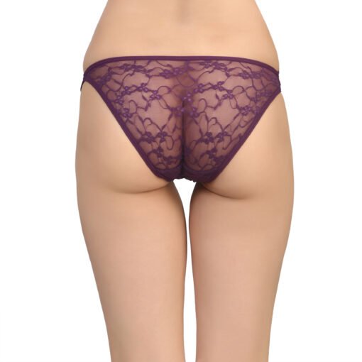 05736-Womens Brief Panty - Image 4