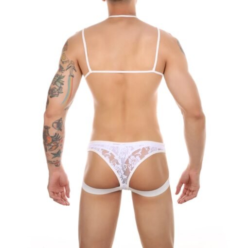 Sissy Lingerie for Men - Image 5
