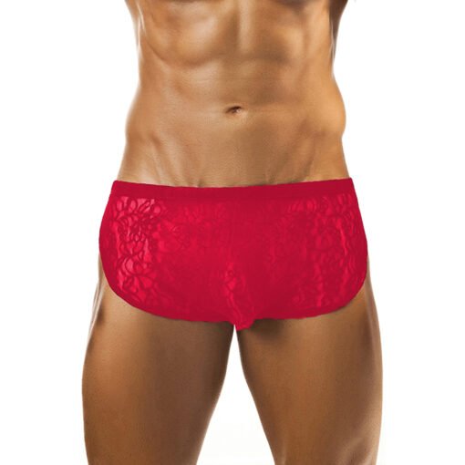 Men’s Lace Underwear - Image 3
