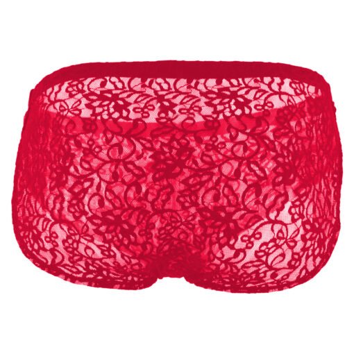 Men’s Lace Underwear - Image 13