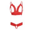 Sexy Lace Front Open Bra and Crotchless Panty Lingerie Set - 06692 31 - ELS 06692 RD 2